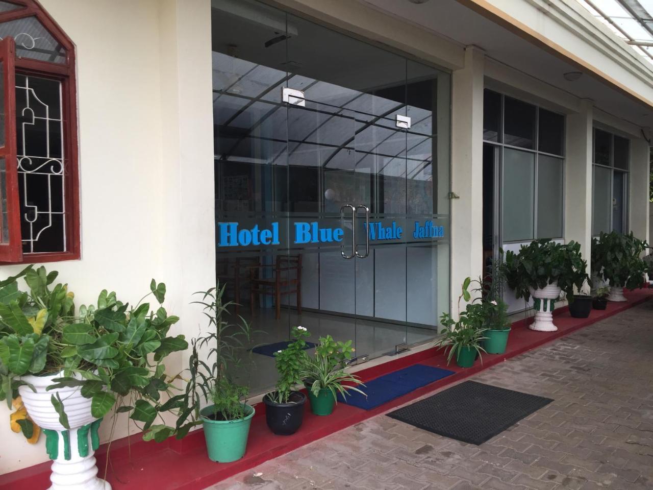Hotel Blue Whale Jaffna Bagian luar foto